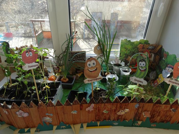 Конкурс огород на окне в детском саду. Огород на окне в детском саду. Огород на окошке в детском саду. Огородик на окне в детском саду.